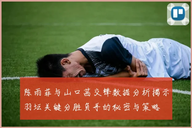 陈雨菲与山口茜交锋数据分析揭示羽坛关键分胜负手的秘密与策略